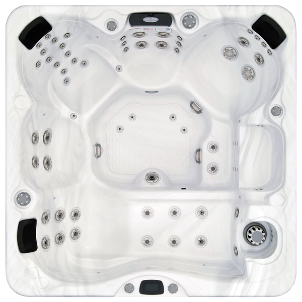 Avalon-X EC-867LX hot tubs for sale in Inglewood